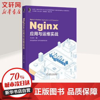 Nginx应用与运维实战 王小东网络通信程序设计 应用运维Kubernetes微服务全面讲解Ngin