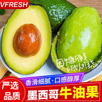 庄庚牛油果-高质量、经济实惠的选择