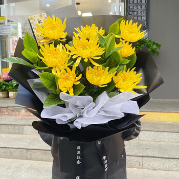 清明节花束菊花鲜花速递同城扫墓祭祀北京上海深圳广州配送花哀伤9朵