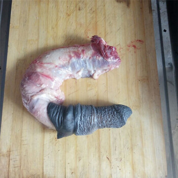 粮讯新鲜整套生驴鞭熟食滋补泡酒现杀特大金钱肉驴三件生鲜驴单鞭7两8