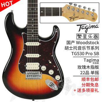 Tagima电吉他TG510 TG530 Pro 电吉它套装 新手初学入门儿童Baby TG530 Pro SB 单单双 日落色