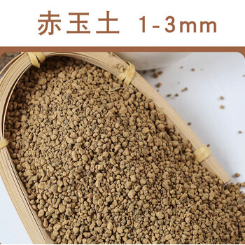 硬质赤玉土多肉花盆兰花专用植料盆景兰花专用土颗粒铺面虎雀a 【赤玉