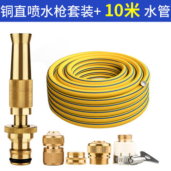 高压洗车水枪抢家用水管软管冲汽车神器接水龙头车用喷头浇花喷枪 铜直喷水枪+10米黄色水管