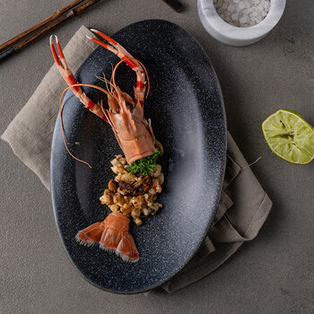 朵颐北欧式餐具寿司意面盘子家用西餐盘大号菜盘 寿司盘 23 5cm Stone系列 黑色 图片价格品牌报价 京东