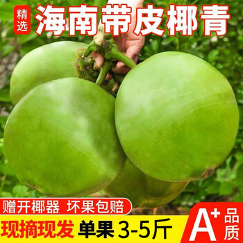 鲜木海南新鲜椰子文昌带皮椰青现摘绿皮青椰汁天然嫩椰孕妇水果2个装