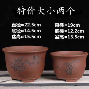 特大号紫砂花盆种树大号花盆发财树专用花盆陶瓷花盆 紫色三角金钟22
