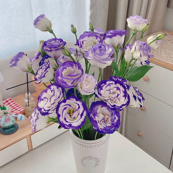 悦多彩 洋桔梗龙胆鲜花云南现采生日礼物家用办公室水养鲜花每周一花 洋桔梗15-20朵 随机单色
