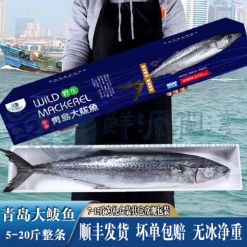 立享优惠!新鲜青岛鲅鱼礼盒,价格走势可观