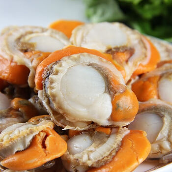 新鲜大扇贝肉冷冻元贝肉冻扇贝蒜蓉扇贝贝类冷冻海鲜肉瑶柱生鲜 1000g