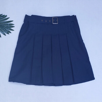 夏季春秋款石家庄二中总部南校区润德校区学生男款夏季校服 女短裙