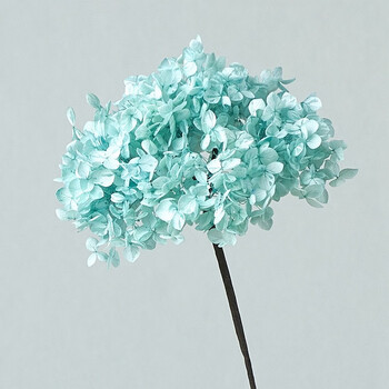 美学黑客绣球永生花网红干花花束室内客厅ins带花瓶套装组合装饰家居摆设 单支浅兰绣球花，杆长55厘米