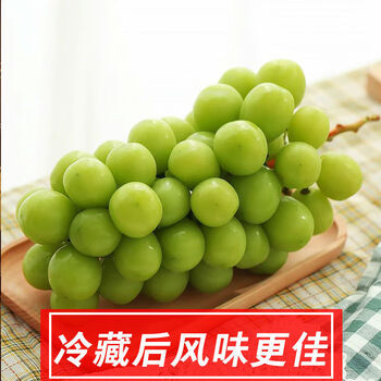 晨臻 晴王阳光玫瑰葡萄新鲜水果一整箱应季孕妇水果青提子玫瑰香无籽