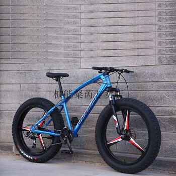 自行车成人山地 自行车成人 变速 山地车自行车成人男士 越野单车沙滩