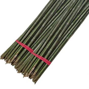 曦牛竹干子小竹子细竹竿菜园搭架户外篱笆豆角竹竿旗竹杆跳舞长竹竿粗