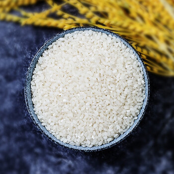 粮管家大米 羊脂雪米 大米500g/5kg 香如羊脂白如雪 甘糯绵软清香q弹