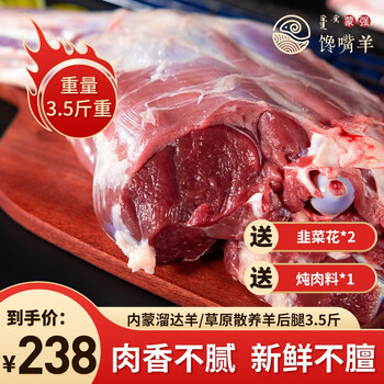 今日带货:2022世界杯主题卫衣