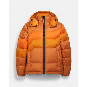 coach蔻驰奢侈品男装 轻奢高档男士羽绒连帽夹克 风衣男子时尚百搭