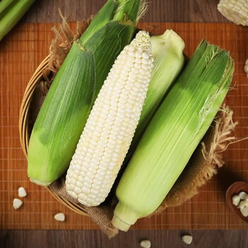 攀枝花甜糯白玉米新鲜玉米棒苞谷黏玉米 5斤装(5-8根)