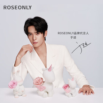 諾誓ROSEONLY永生玫瑰花唯爱独角兽礼盒小号粉色送女友生日情人节礼物