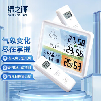 绿之源（GREEN SOURCE） 电子温湿度计多功能测量仪器家用数显表室内婴儿房高精度白色 气象云 默认尺码1