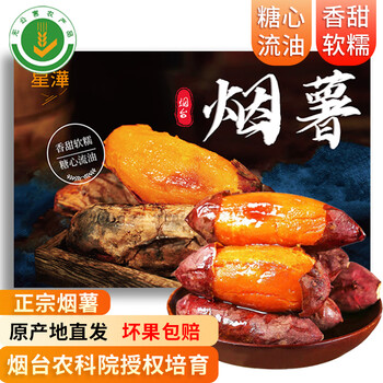 时鲜汇山东烟薯25号糖心红薯烤地瓜 新鲜蔬菜 香甜软糯 5斤带箱装家庭超值装