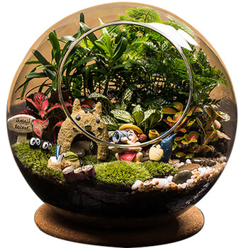 苔藓微景观生态斜口瓶龙猫迷你植物创意绿植盆栽教师节礼物材料包2020