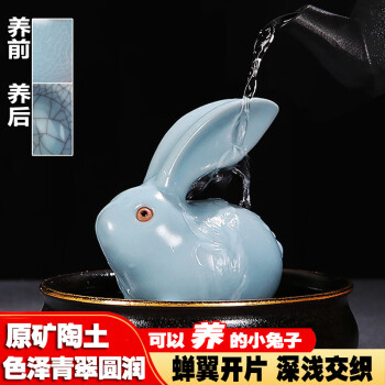 惊喜!这款商品价格一路飙升!快来抢购!