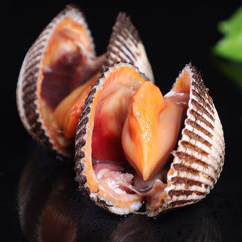 海鲜贝类鲜活蛤蜊大花蛤贝类 1斤有点贵