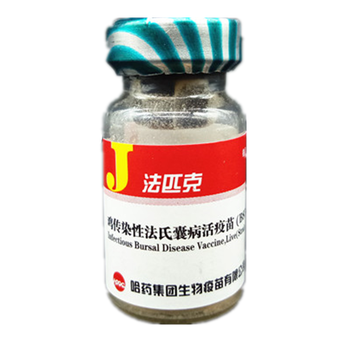 哈药法匹克鸡传染性法氏囊病活疫苗b87株雏鸡用疫苗1000羽瓶疫苗1瓶价