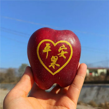 舌尖戏水平安果礼盒装圣诞礼物苹果刻字苹果圣诞果送礼盒小礼品18颗