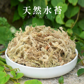 新鲜干水苔蝴蝶兰花多肉石斛捕蝇草食虫植物种植营养泥土壤干苔藓干