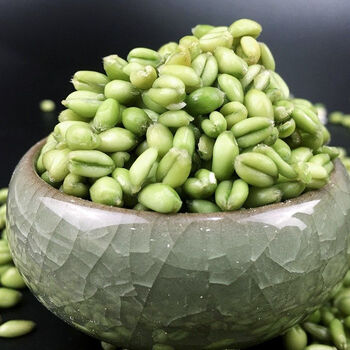 新鲜青麦仁农家自产天然新鲜青麦仁3斤脱皮麦仁煮粥五谷杂粮速冻小青