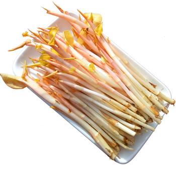 现摘鱼腥草嫩芽当季折耳根嫩尖嫩叶凉拌节节根芽蔬菜健康轻食1斤