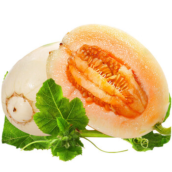 东方蜜甜瓜 香瓜 新鲜水果 产地直发 东方蜜约2kg 2-4个瓜
