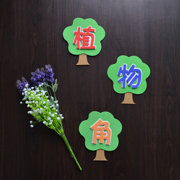 立体泡沫标语栏小学教室布置墙贴评比栏班级文化装饰幼儿园图书角植物