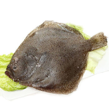 新鲜冷冻多宝鱼 活冻海鲜水产比目鱼海鱼冷冻八宝鱼玛木拉德 【9两-1