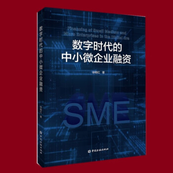 数字时代的中小微企业融资 中国金融出版社