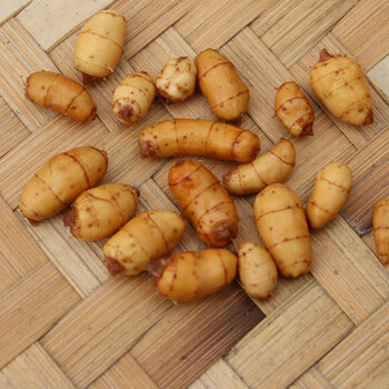 巢浩2022半干农家油莎豆豆浆油沙豆虎坚果油豆大粒云南老品种长形