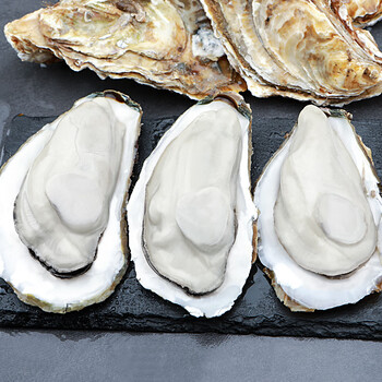 俏农优选 大连海鲜生蚝4斤2x 新鲜鲜活海蛎子大连特产牡蛎带壳贝类