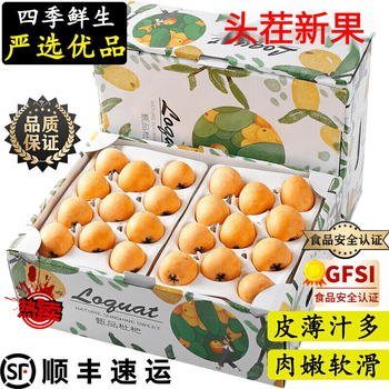 闽域寻鲜米易高山枇杷【顺丰/普快】四川石椅村枇杷蒙自新鲜琵琶礼盒装 5斤 大果【彩箱顺丰】单果30g+