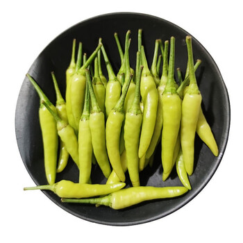 广西白米椒 野山椒泡椒 新鲜小米椒特辣朝天椒 5斤