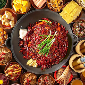 vieruodis德国进口品质商用九宫格老火锅锅具搪瓷铸铁平底圆底双耳