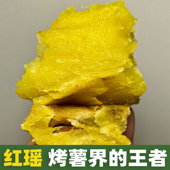 源外  正宗日本红瑶黄金蜜薯糖心烤红薯专用新鲜玛莎莉番薯自种地瓜 5