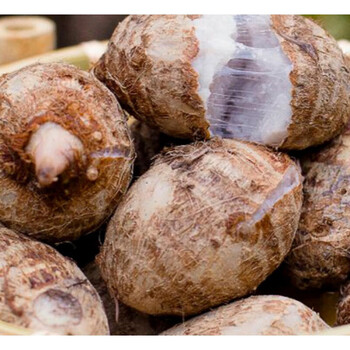 晨臻红嘴新鲜小香芋粘糯无筋芋艿农家自种小芋头毛芋头 5斤