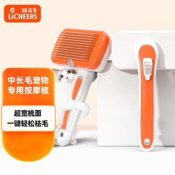 美容用具优选推荐,价格走势与你潮流同步