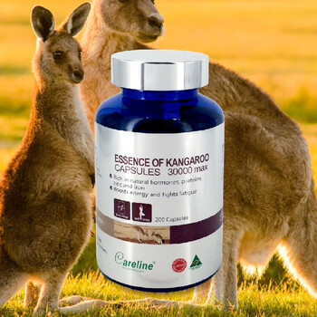 澳洲柯蓝澳洲袋鼠精胶囊男性疲劳精力充沛200粒