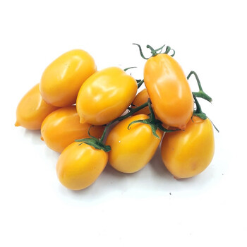 东北黄柿子 西红柿黄色柿子草莓农家自种蔬菜 新鲜水果 2.5kg