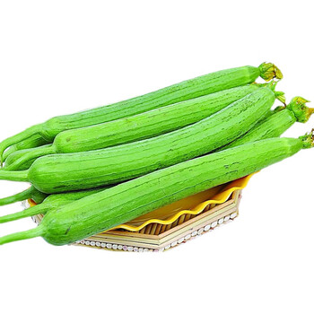 农家自种鲜嫩丝瓜新鲜肉丝瓜菜瓜时令蔬菜本地水瓜1团购生鲜 4斤