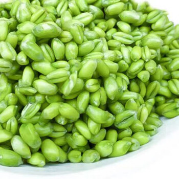 馋小生青麦仁新鲜青青麦仁青麦粒嫩麦子小麦仁农家自产煮粥鲜杂粮3斤