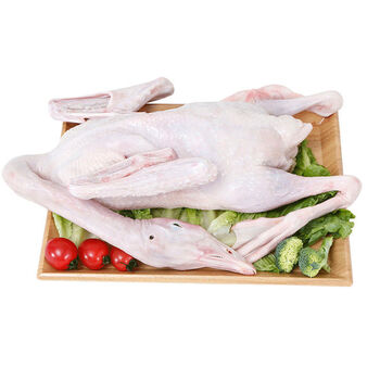 现杀整只周边农家散养鹅鸿雁冷冻红嘴雁56斤雁鹅净重